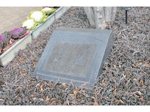 ディアステージ正雀ウェルブライト-h