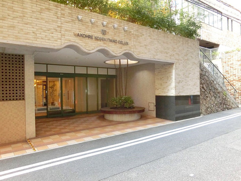 ワコーレ神戸北野セリュックス-h