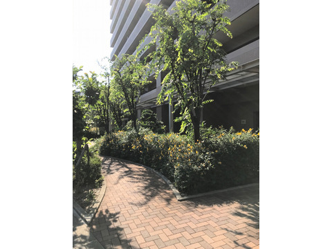 ファミール天神橋グリーンアベニュー-h