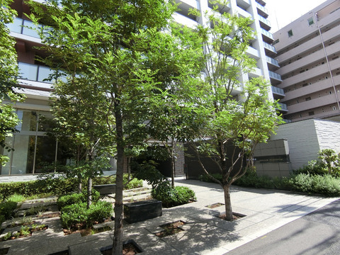 クレヴィアタワー目黒不動前-h