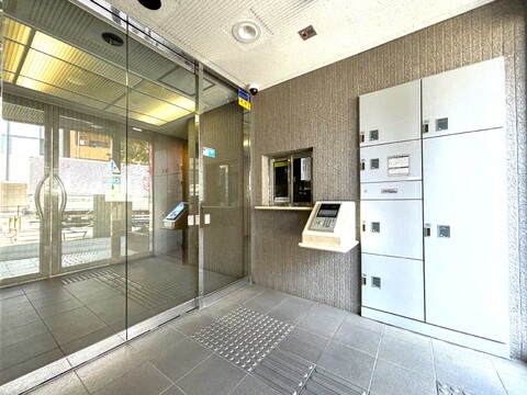 ゼファー大山ファムエール-h