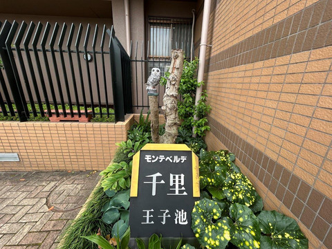 モンテベルデ千里王子池-h