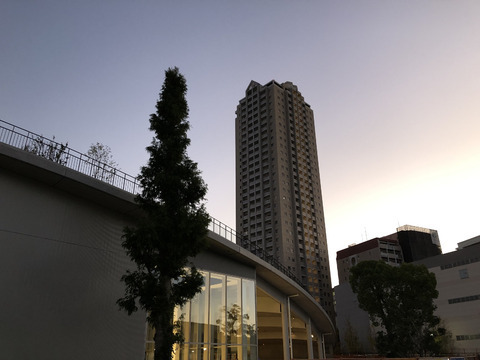 ファミール宝塚グランスイートタワー-h