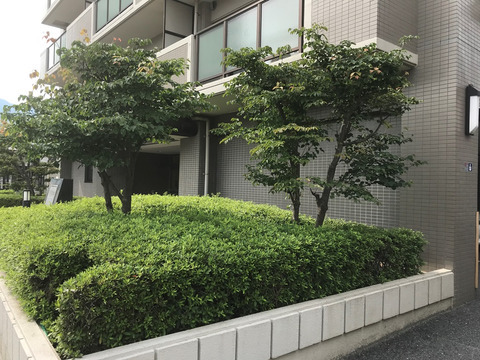 ファミール五日市中央-h