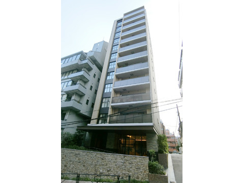 グラン　レ・ジェイド御茶ノ水-h