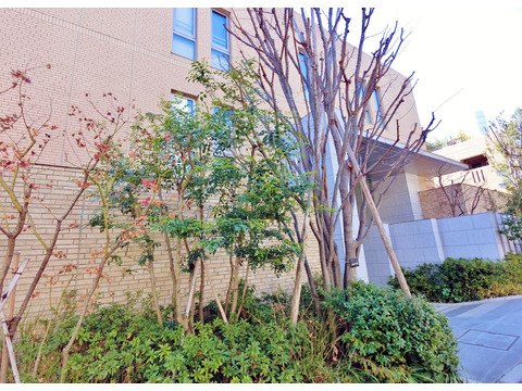 プラウド東中野-h