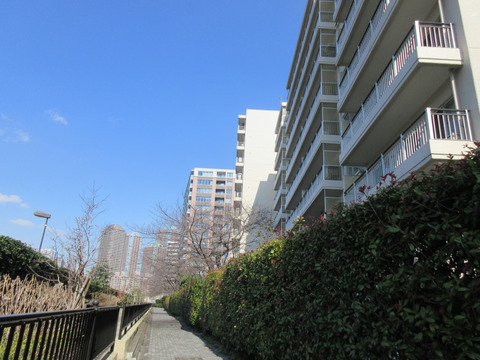 月島リバーハウス-h