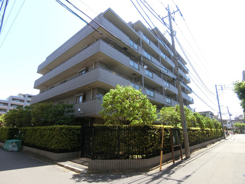 ソフィア大倉山エルグランデ-h