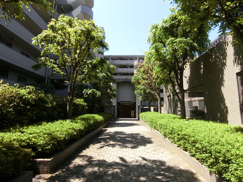 ソフィア大倉山エルグランデ-h