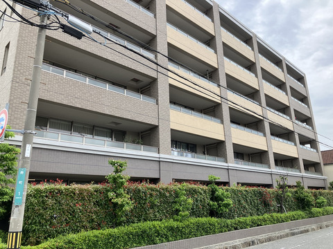 ヒルズ夙川パッサージュ-0-0