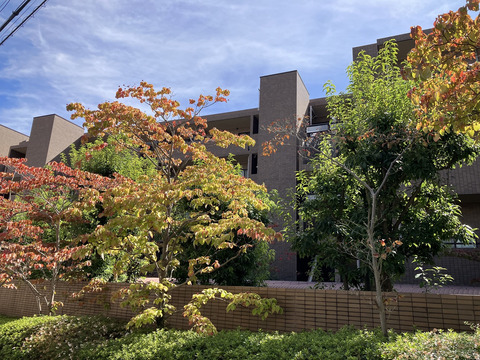 夙川ソルステージュ-h