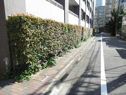 THEパームス月島ルナガーデン-h