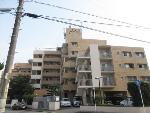 鳥飼パインハイツ-0-0