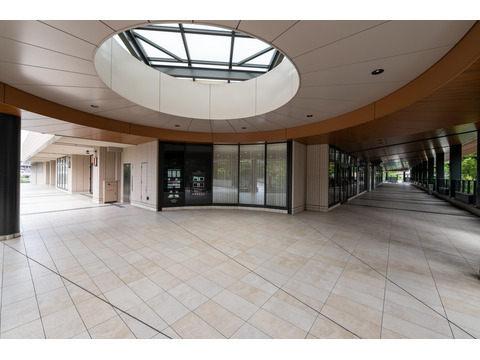 パークシティ武蔵小杉ザ・ガーデンタワーズイースト-h