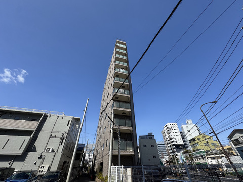 ベルドゥムール王子-h