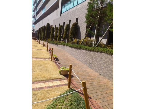 サンヴェールエルゼ甲陽園-h