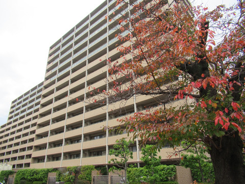 ジオ・ウェリス西宮北口-h