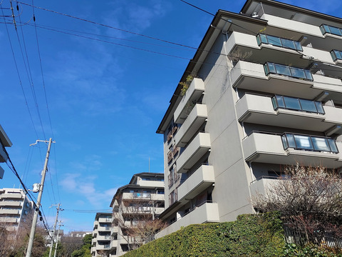 苦楽園ヒルズ1号棟-h