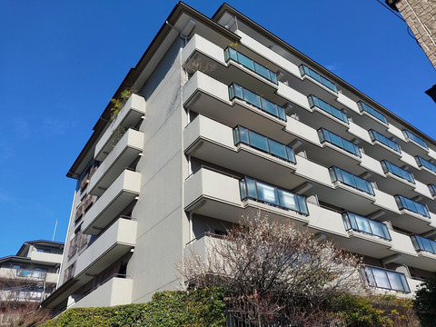 苦楽園ヒルズ3号棟-h