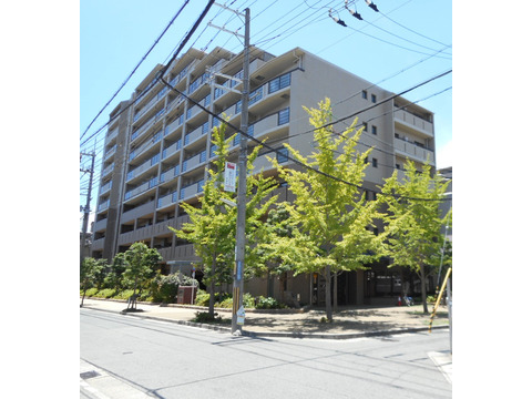 モンセーヌ住吉川公園2番館-h