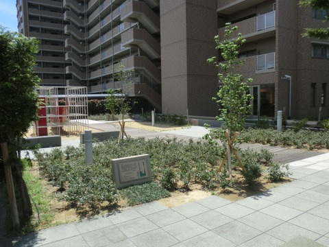 ライオンズガーデン御影-h