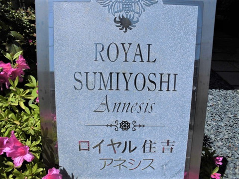 ロイヤル住吉アネシス-h