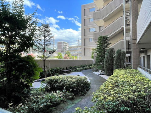 ジークレフ御影-h