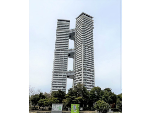 アイランドタワースカイクラブ-0-0