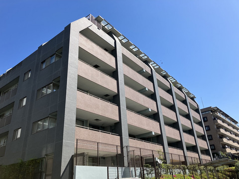 D’クラディア東戸塚ブライトガーデン-0-0