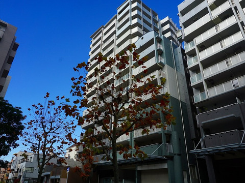 ウェルブ六甲道6番街3番館-h