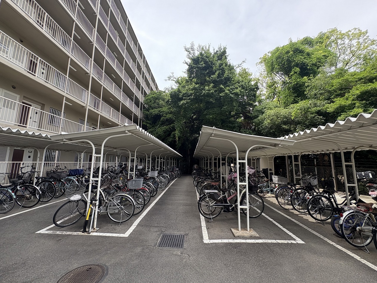 シキボウスターハイツ西宮北口-h