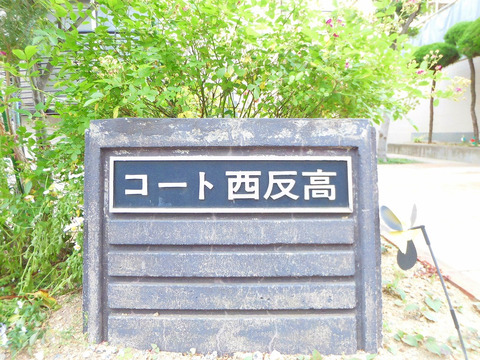 コート西反高-h