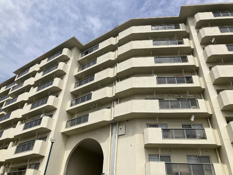 夙川ビューハイツＤ棟-h