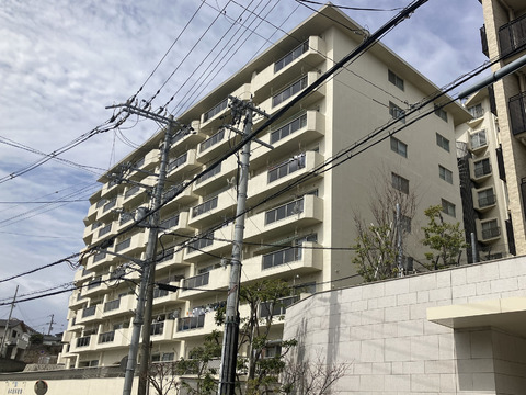 夙川ビューハイツＤ棟-h