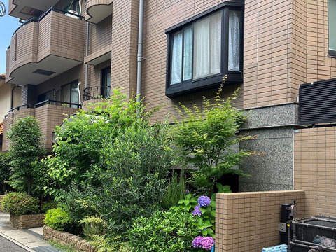 ハーモニーコート夙川若松町-h