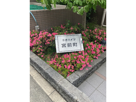 ネオハイツ宮前町-h