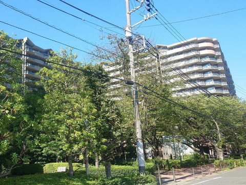 プローラ津田沼-h