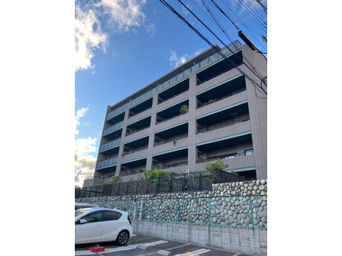 ベネレックス森北-h