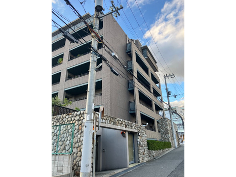 ベネレックス森北-h