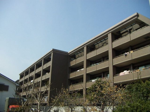 コスモ芦屋ロイヤルフォルム-0-0