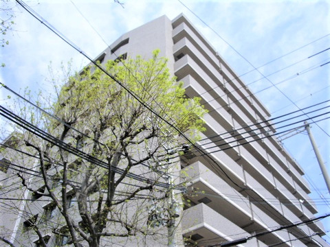 パークハイム神戸熊内町-h