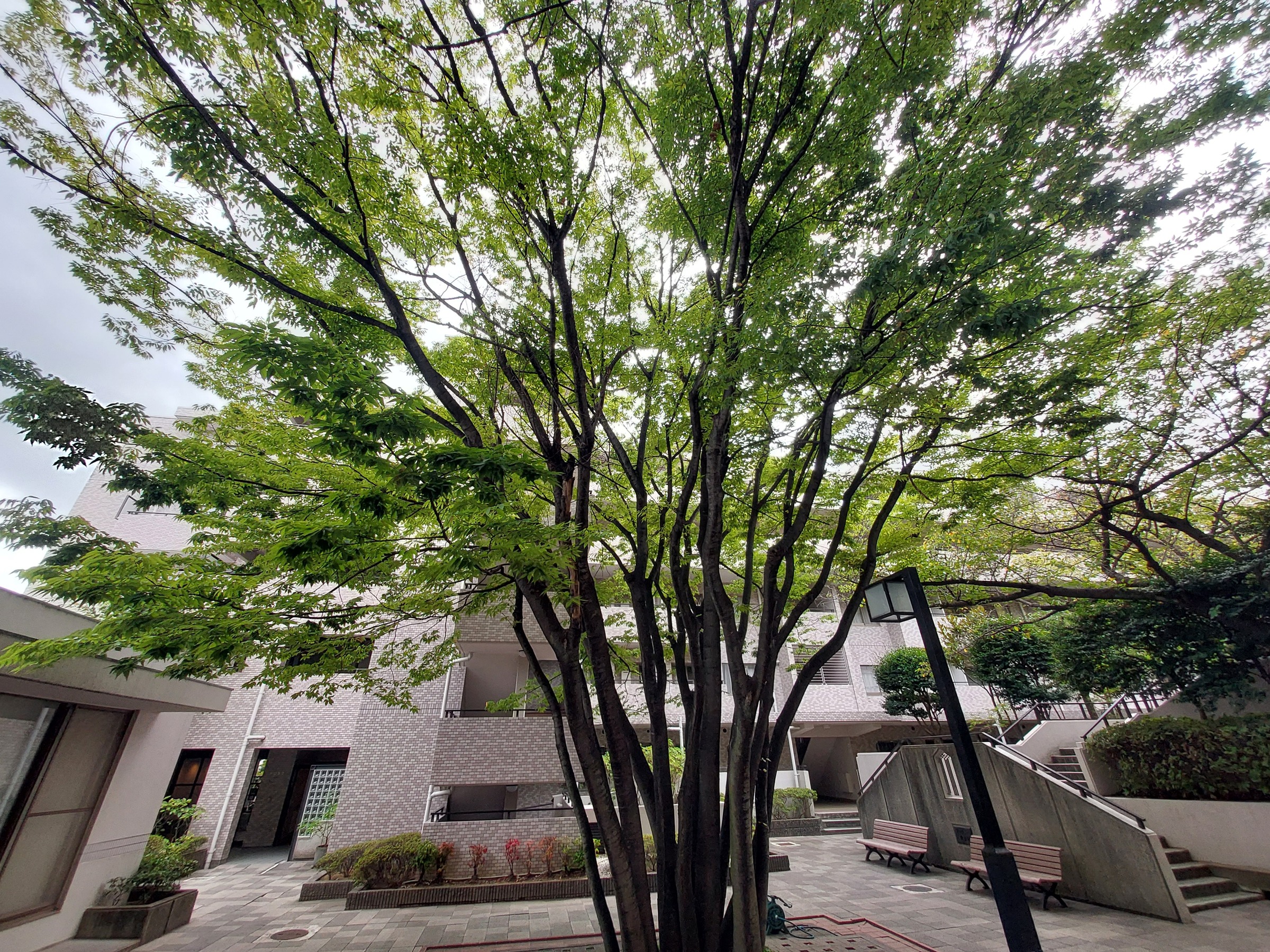 パークハイム芦屋翠ヶ丘20番地-h