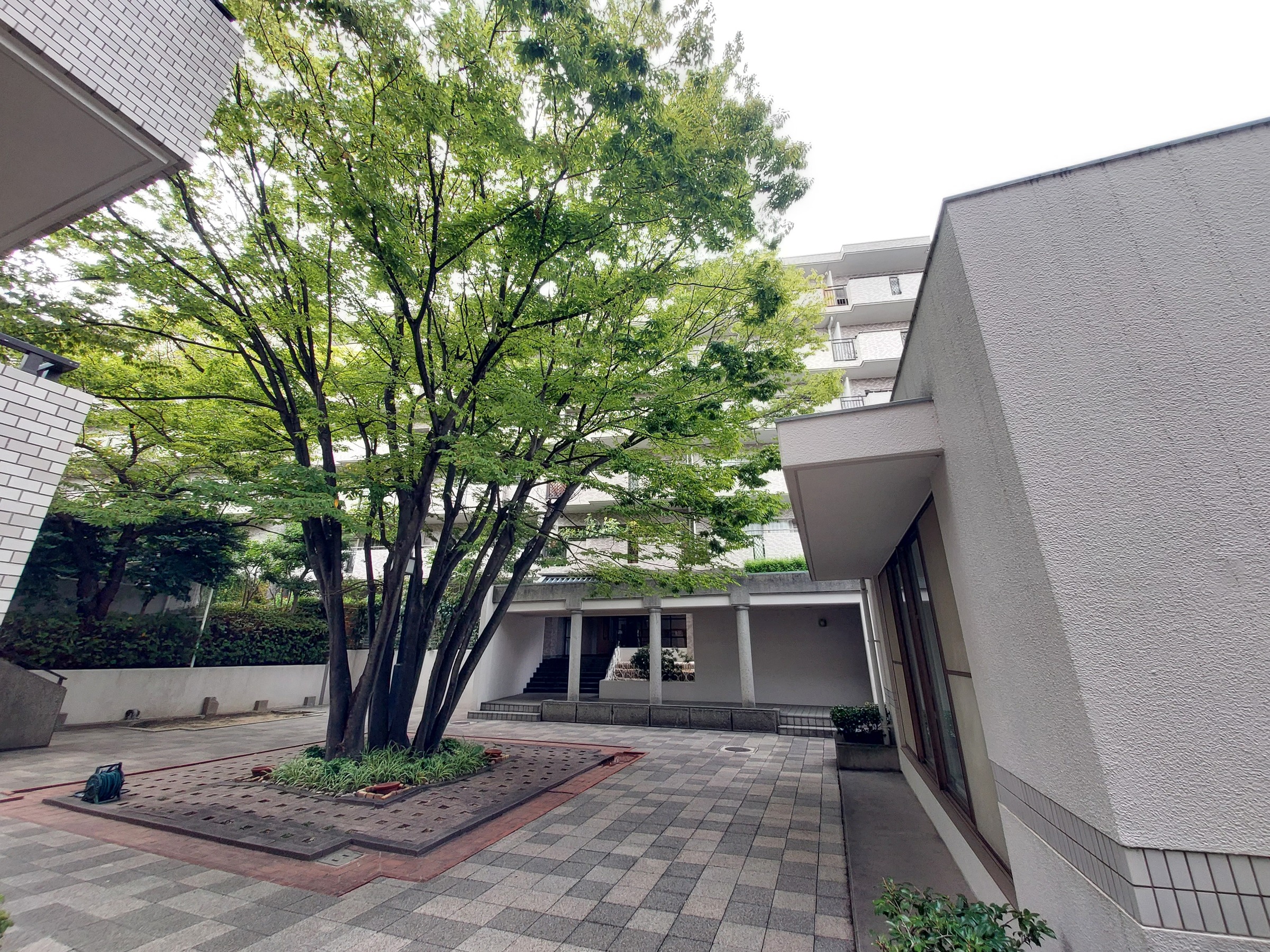 パークハイム芦屋翠ヶ丘20番地-h