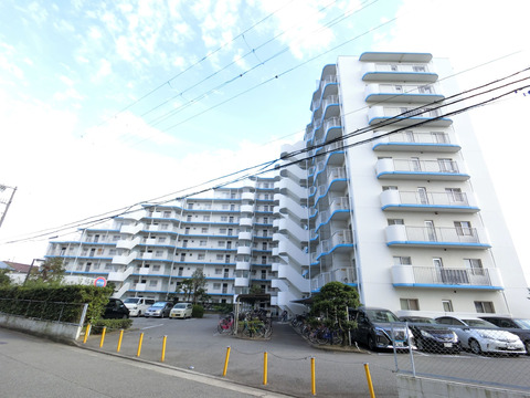 サングレールクインセス-h