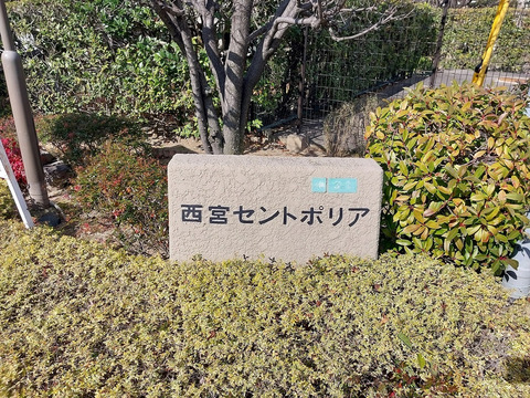 西宮セントポリア1号棟-h