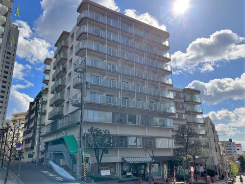 山手ダイヤハイツ-h