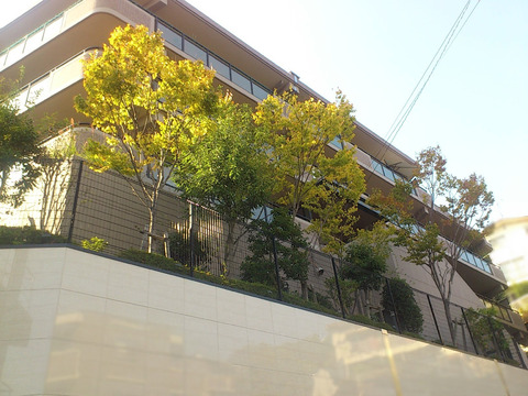 ダイアパレス甲陽園-h