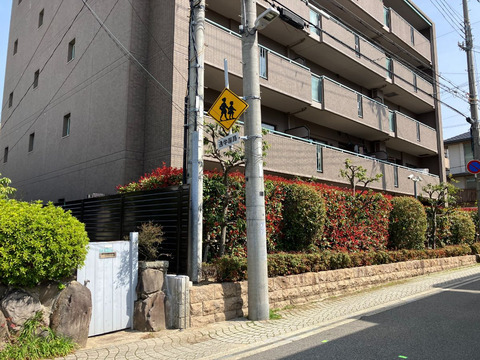 モンセーヌ香櫨園-h