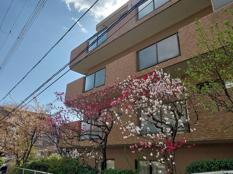 ロイヤルアーク夙川-h