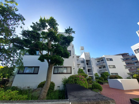 メゾン越木岩 B棟-h